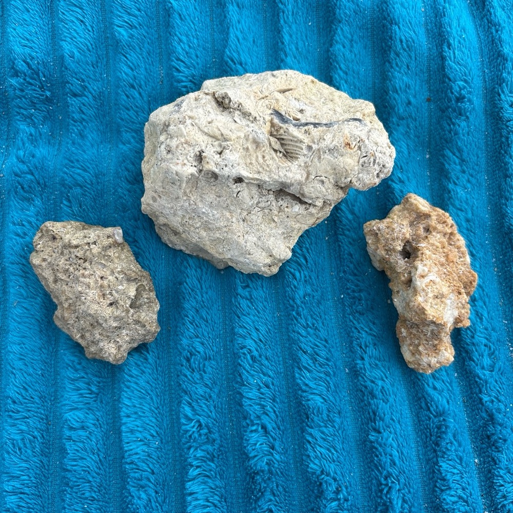 Natural Stone Sculpture Set - Neutral Beige Decorative Rocks
